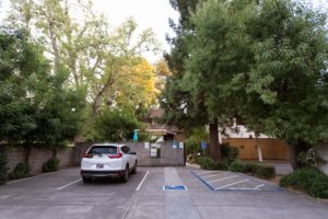 A Therapeutic Alternative Back Alley Parking Lot