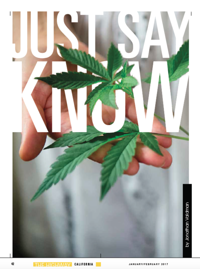 Just Say Know Article