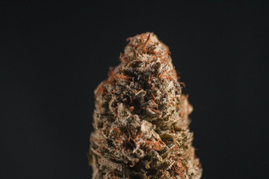 Concentrates and Advanced Cannabis Products