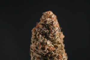 Concentrates and Advanced Cannabis Products