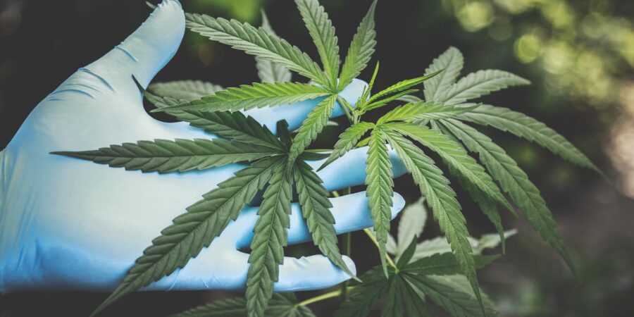 Concentrates and Advanced Cannabis Products