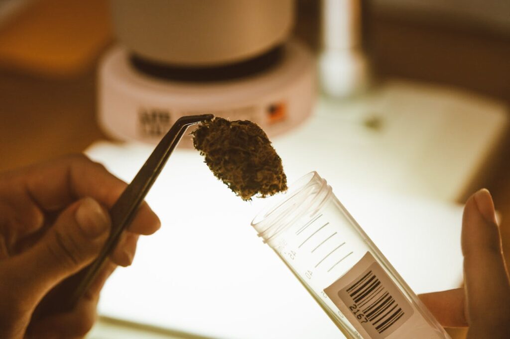 Concentrates and Advanced Cannabis Products
