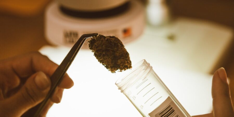 Concentrates and Advanced Cannabis Products