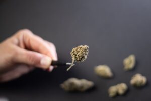 Concentrates and Advanced Cannabis Products