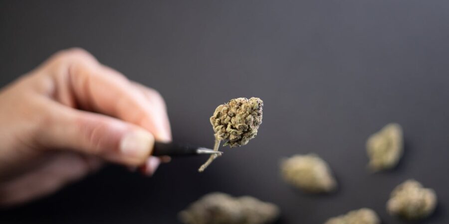 Concentrates and Advanced Cannabis Products