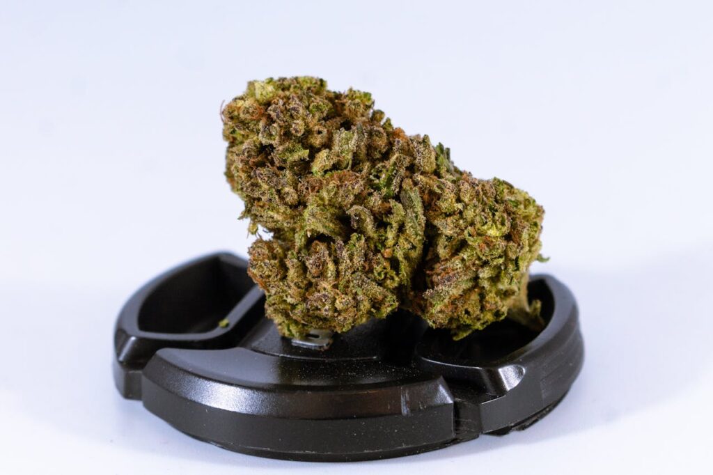 Concentrates and Advanced Cannabis Products