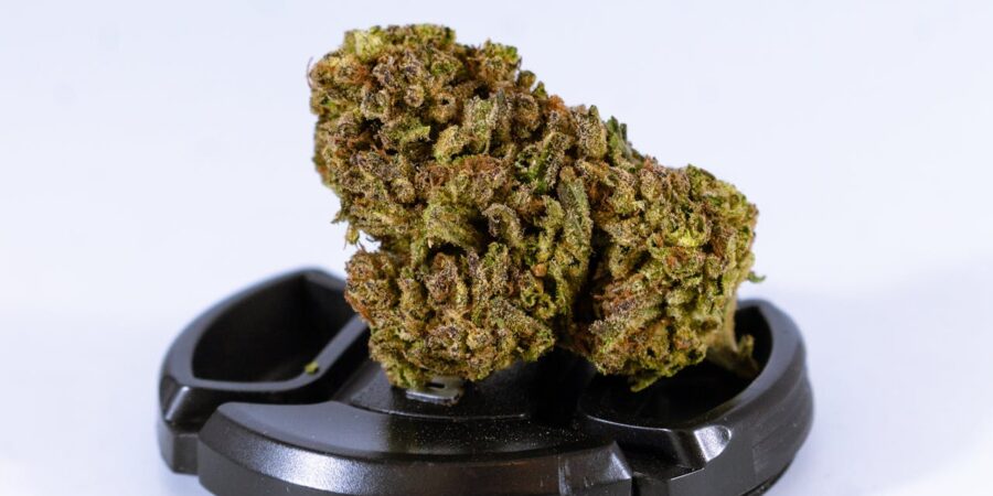 Concentrates and Advanced Cannabis Products