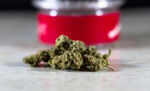 Concentrates and Advanced Cannabis Products