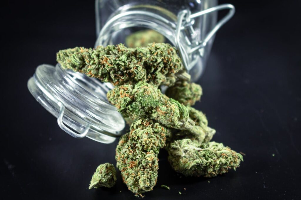 Concentrates and Advanced Cannabis Products